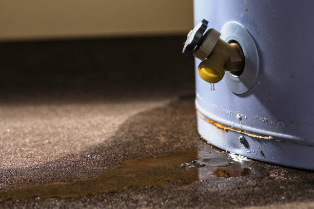 Best Flooded house restoration  in Richton Park, IL