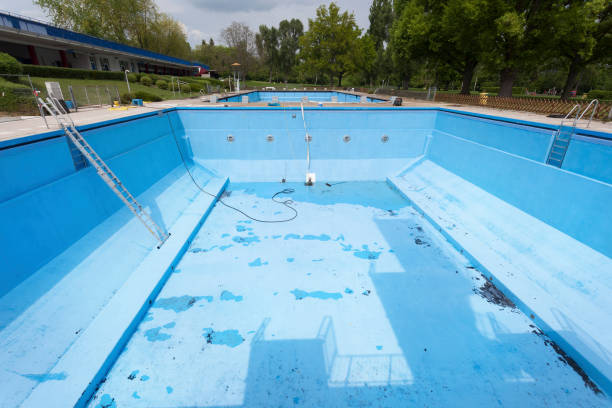 Best Water damage cleanup near me  in Richton Park, IL