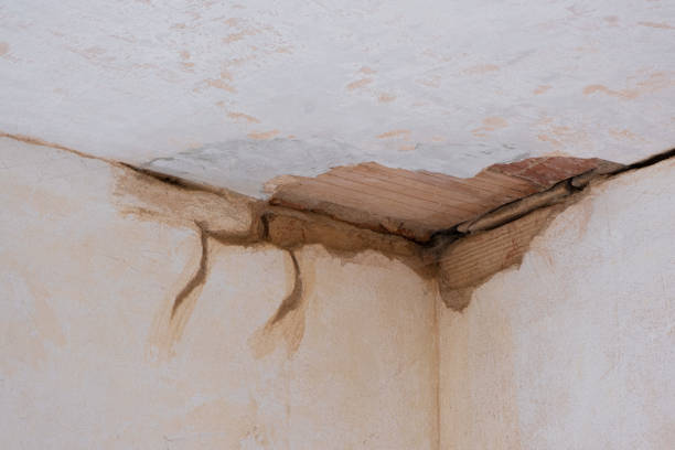 Best Fire Damage Restoration  in Richton Park, IL