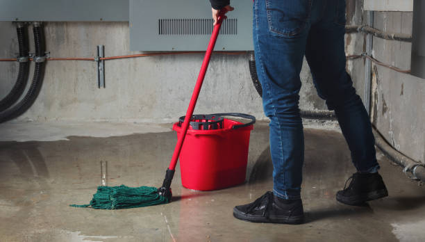 Best Mold removal after water damage  in Richton Park, IL