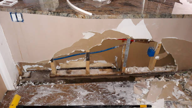 Best Sewage cleanup and water damage restoration  in Richton Park, IL
