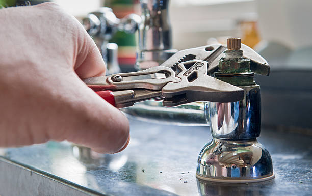 Best Flood damage cleanup  in Richton Park, IL