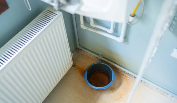 Best Carpet water damage restoration  in Richton Park, IL