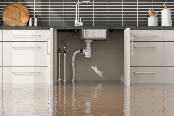 Best Commercial water damage restoration  in Richton Park, IL