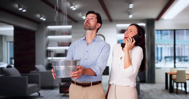 Best Water damage mitigation services  in Richton Park, IL
