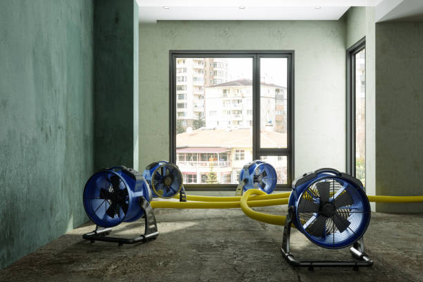 Fire Damage Restoration in IL